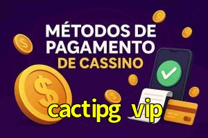 Métodos de Pagamento no cactipg vip